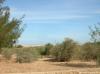 Oliven- und Palmenfarm 005